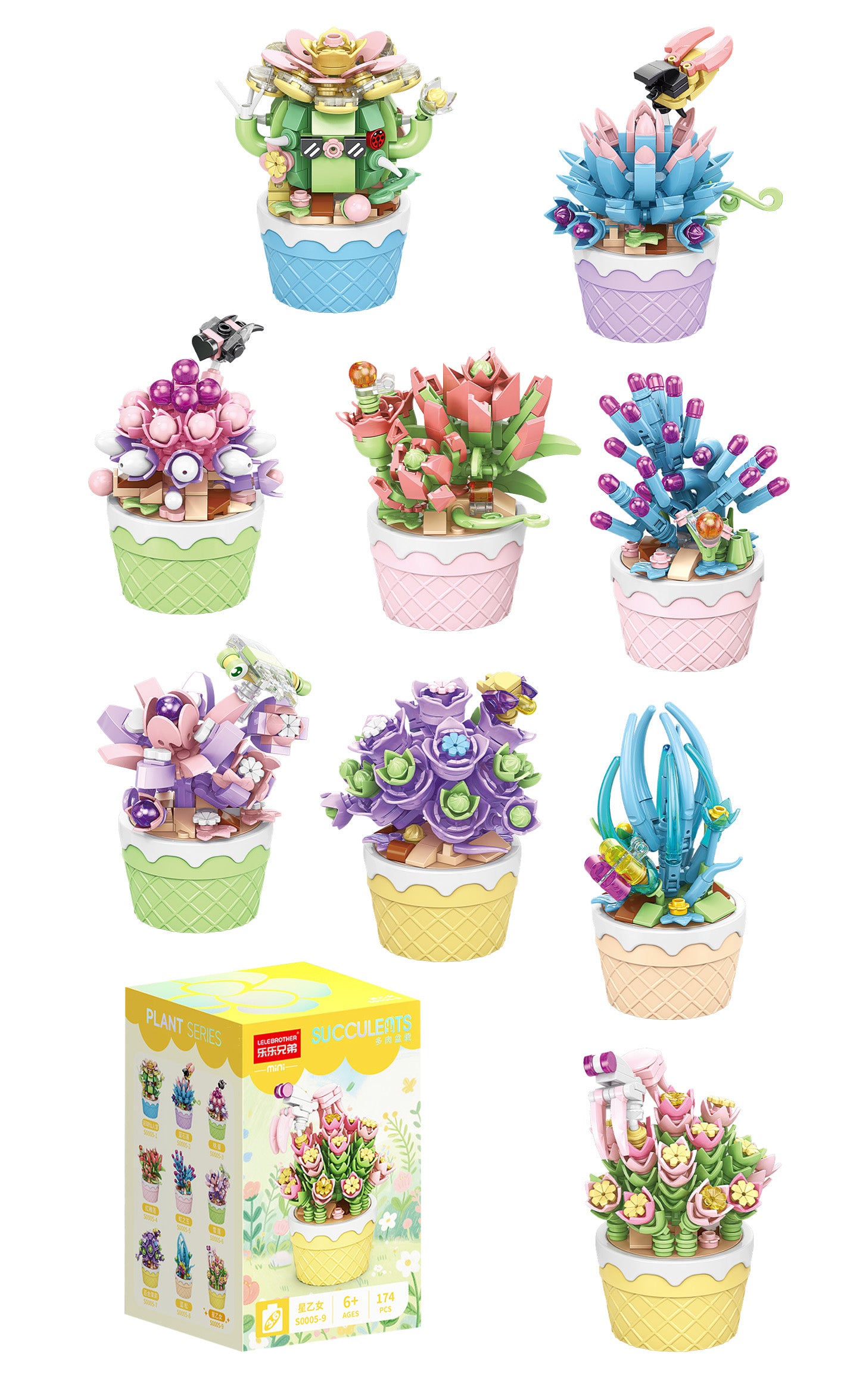 FLORIST Sukulenty v ozdobných květináčích, 9 druhů