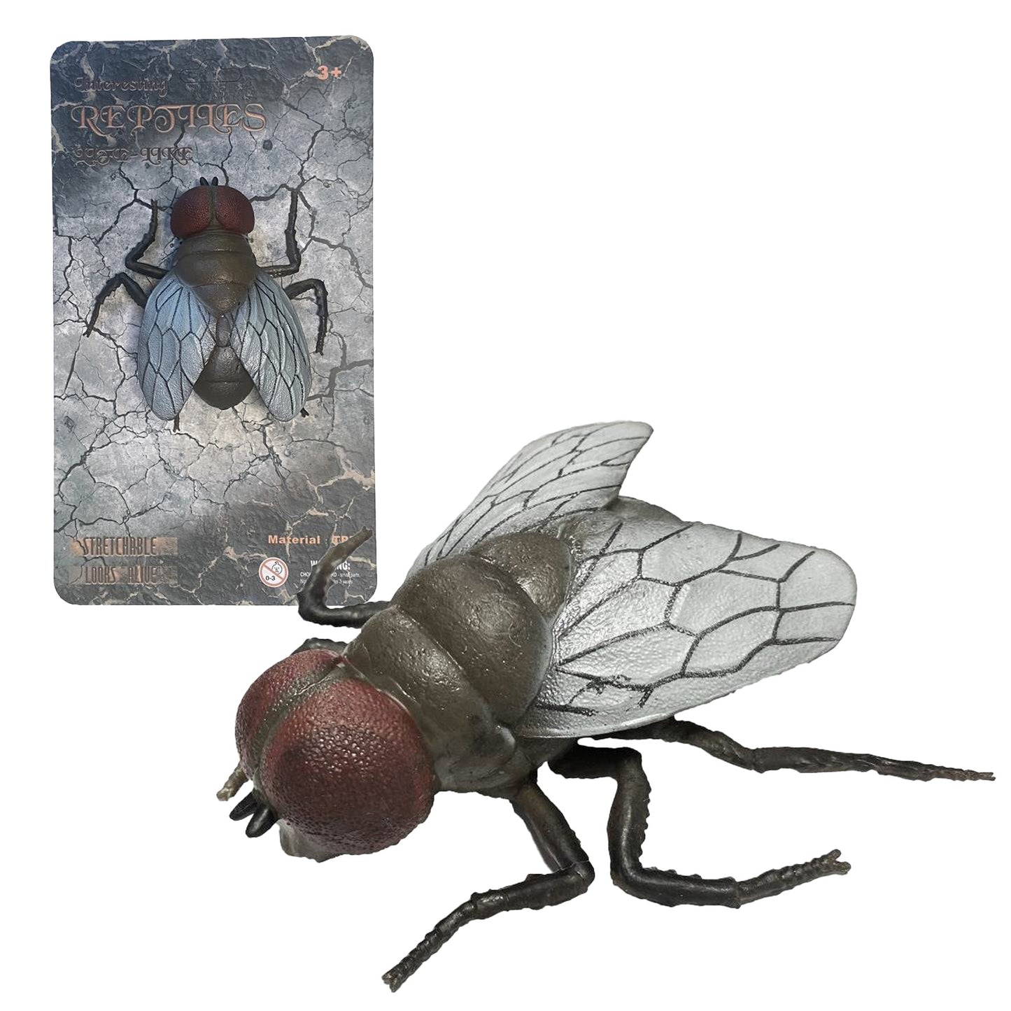 Živá příroda: House Fly - realistický model mouchy (11,5 cm)
