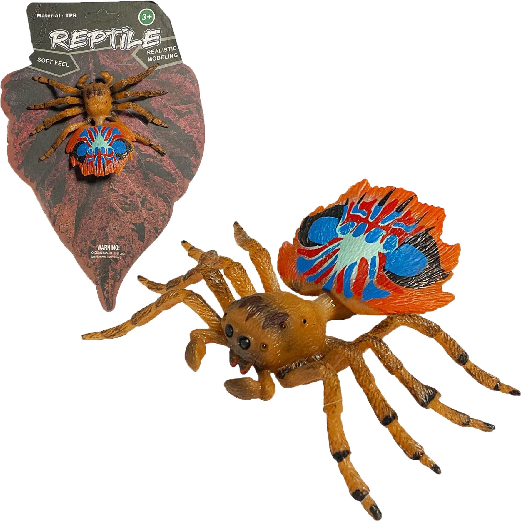 Živá příroda: Peacock Spider - realistický model pavouka (10 cm)