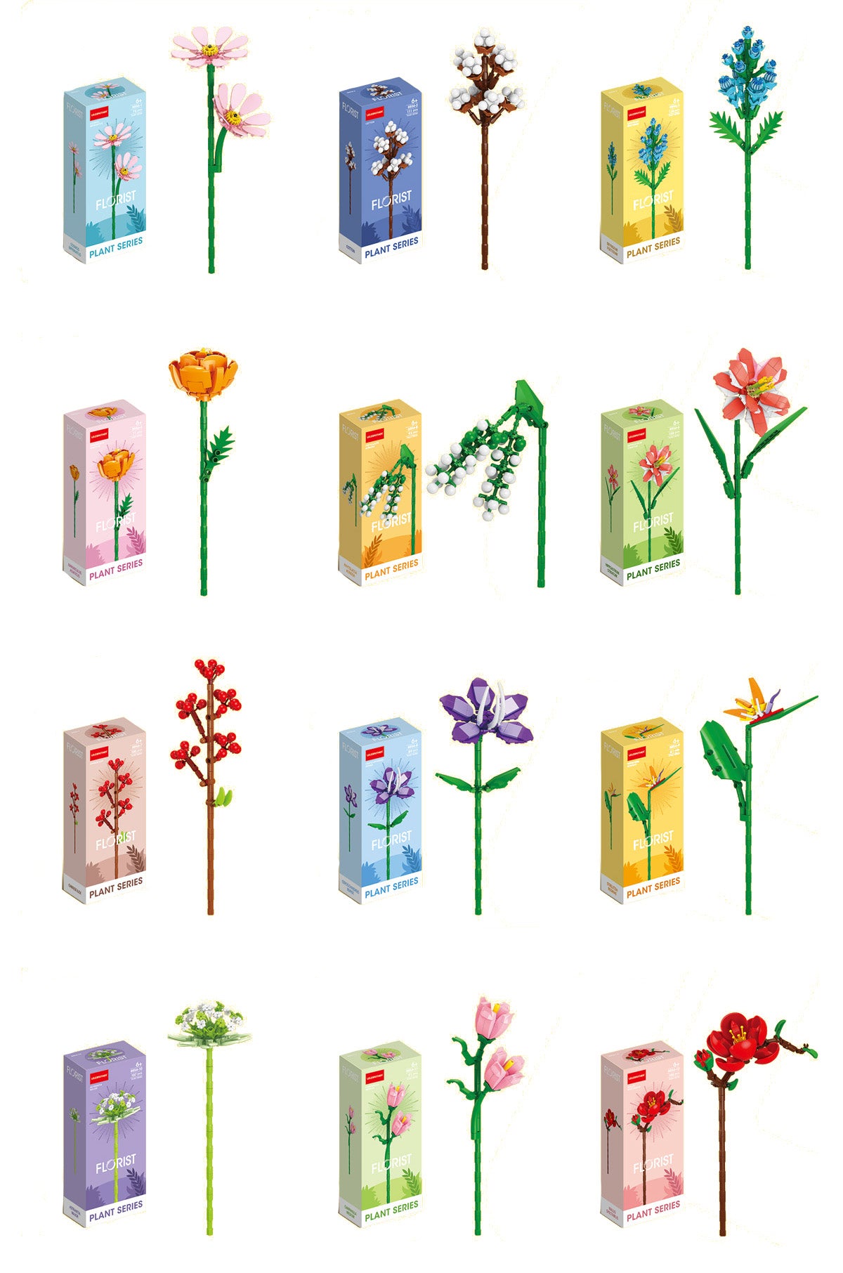 FLORIST Pestrobarevné letní a polní květy, 12 druhů