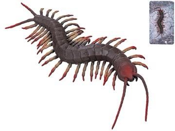 Realistický model stonožky – Gumová figurka hmyzu